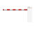 TEMID (Zkteco) T-proBG8030R